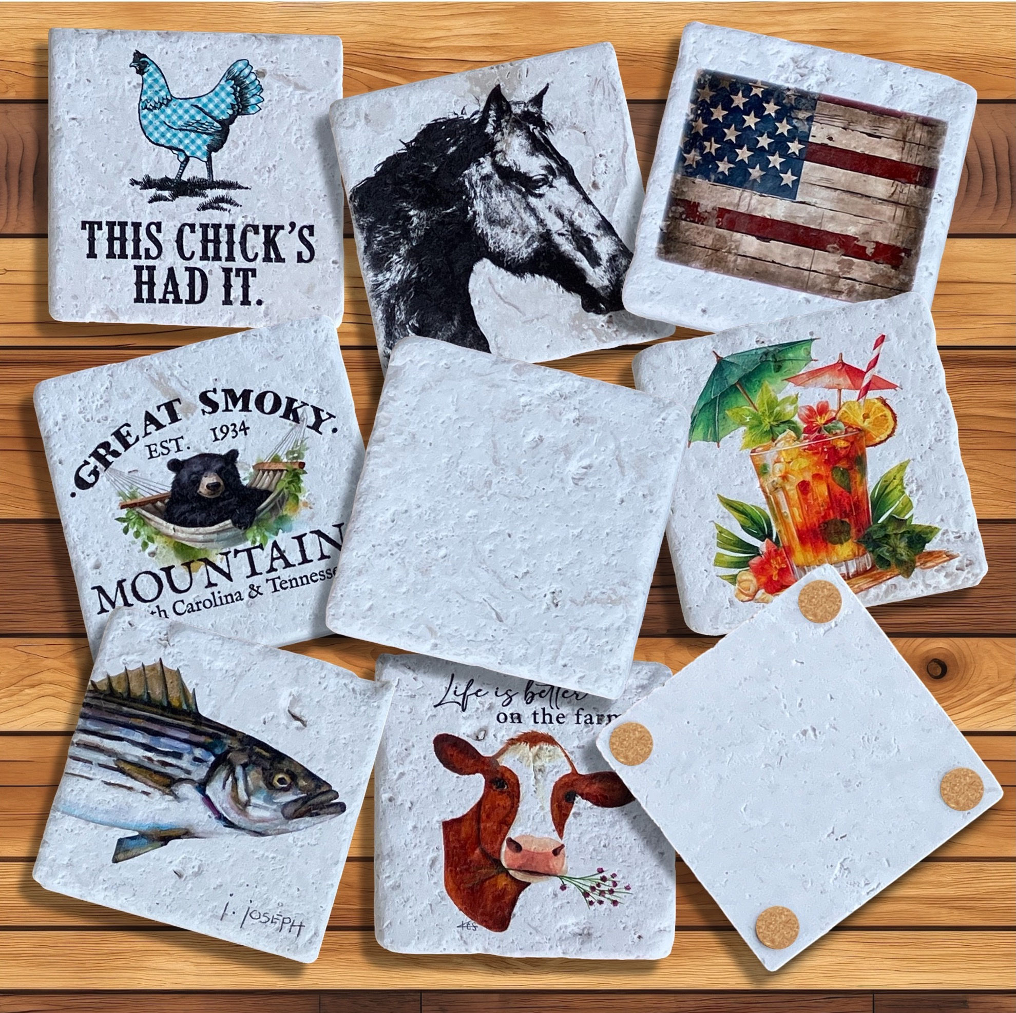 Absorbent Fossil Limestone Coaster