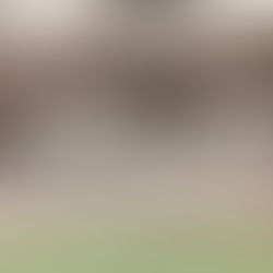 大阪星光学院来校