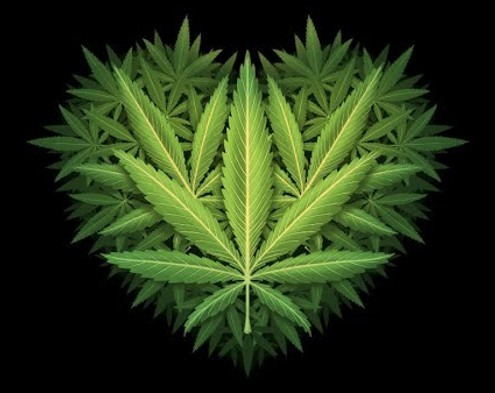 cannabis_love