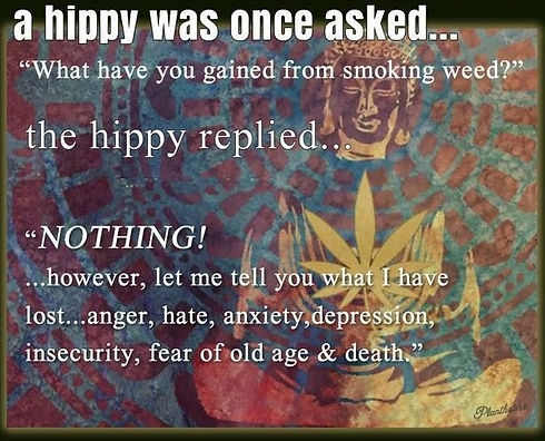 ask a hippie