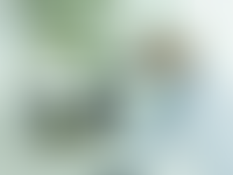 Start na Regulamentação