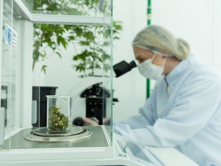 Start na Regulamentação