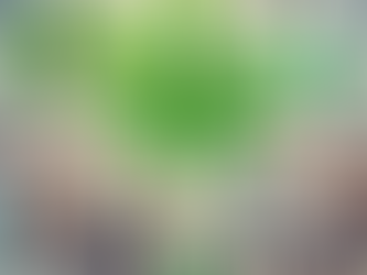 Cannabis Medicinal no SUS