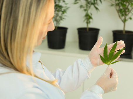 DNA Biotech abrindo mercado