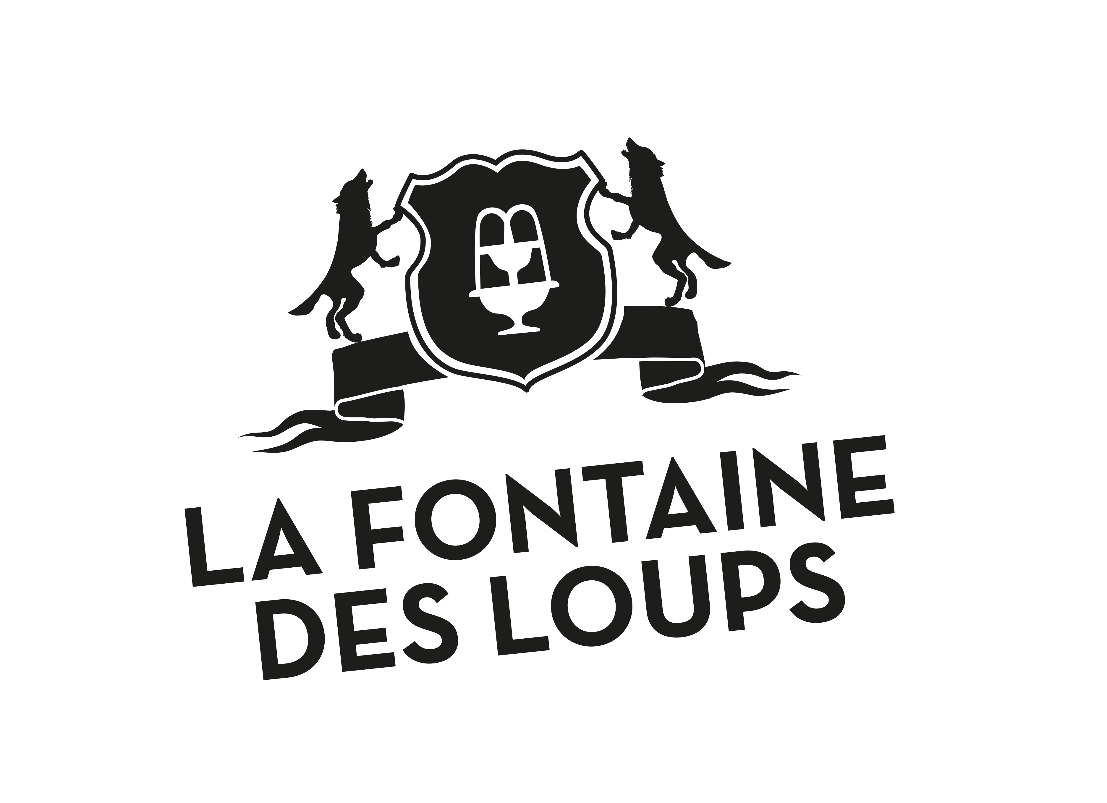 FDL-Logo-Transparent.gif