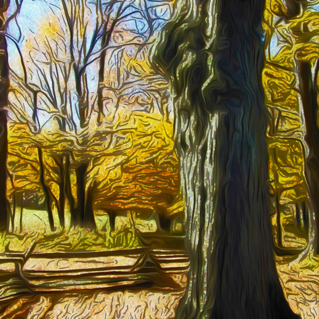 Jockey Hollow #3