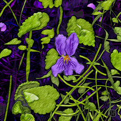 2026 #5 Violet, Beloved of New Jersey Children