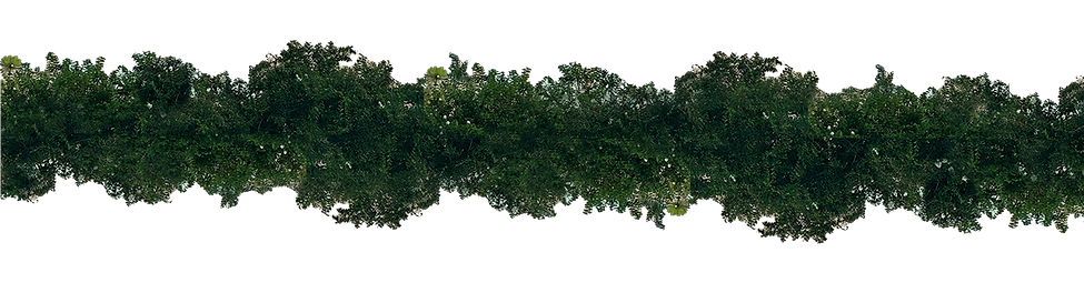Folliage Screen Fill 1.png