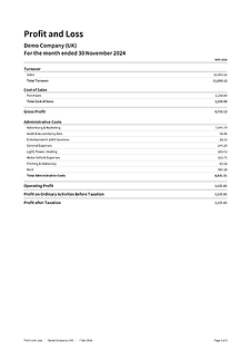 Demo-Company P-L and BS_Page_1.png