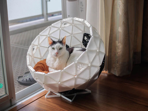 Cama para gatos
