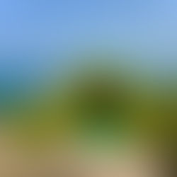 No More Waiting: How Solo Travel Gave Me the Reset I Needed in 2025