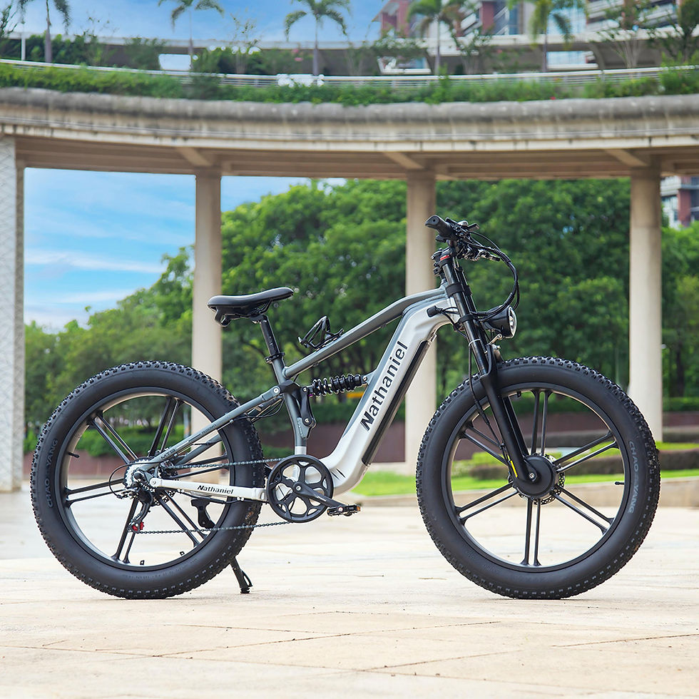 Thumbnail: Nathaniel 2000W E-Bike SYR09 Dual Drive 26x4.0 Fat Tire 48V20AH Battery E-Mounta