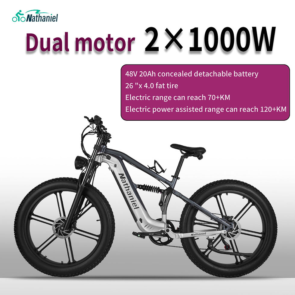 Thumbnail: Nathaniel 2000W E-Bike SYR09 Dual Drive 26x4.0 Fat Tire 48V20AH Battery E-Mounta