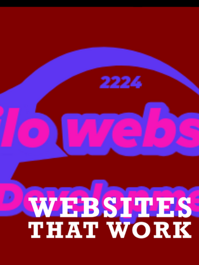 FANCY PINK, BURGUNDY WITH BLUE COLORS THAT SAY VILO WEBSITE DEVELOPMENT