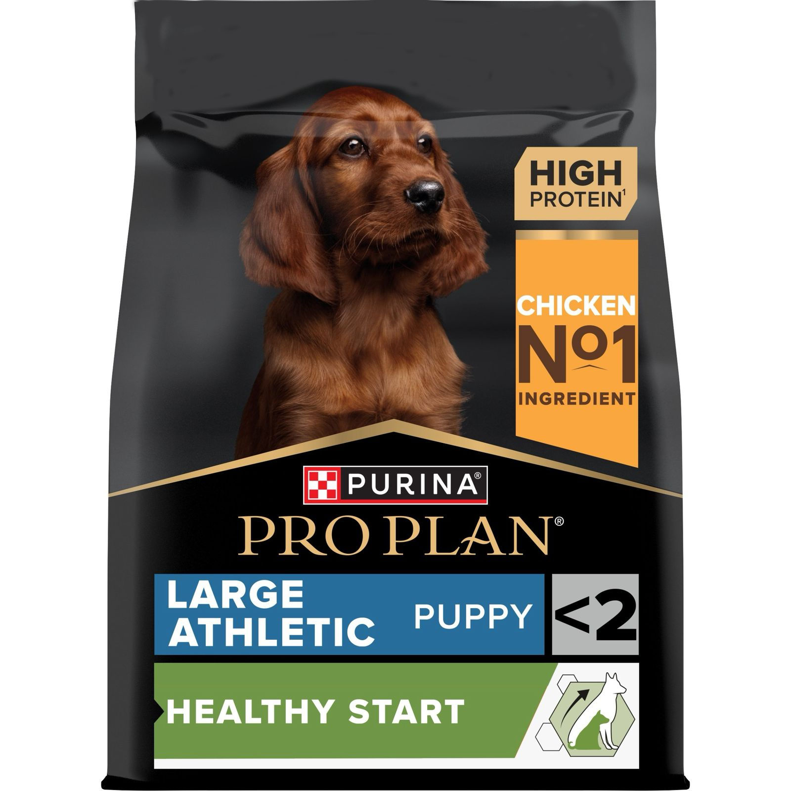pro plan for dog 