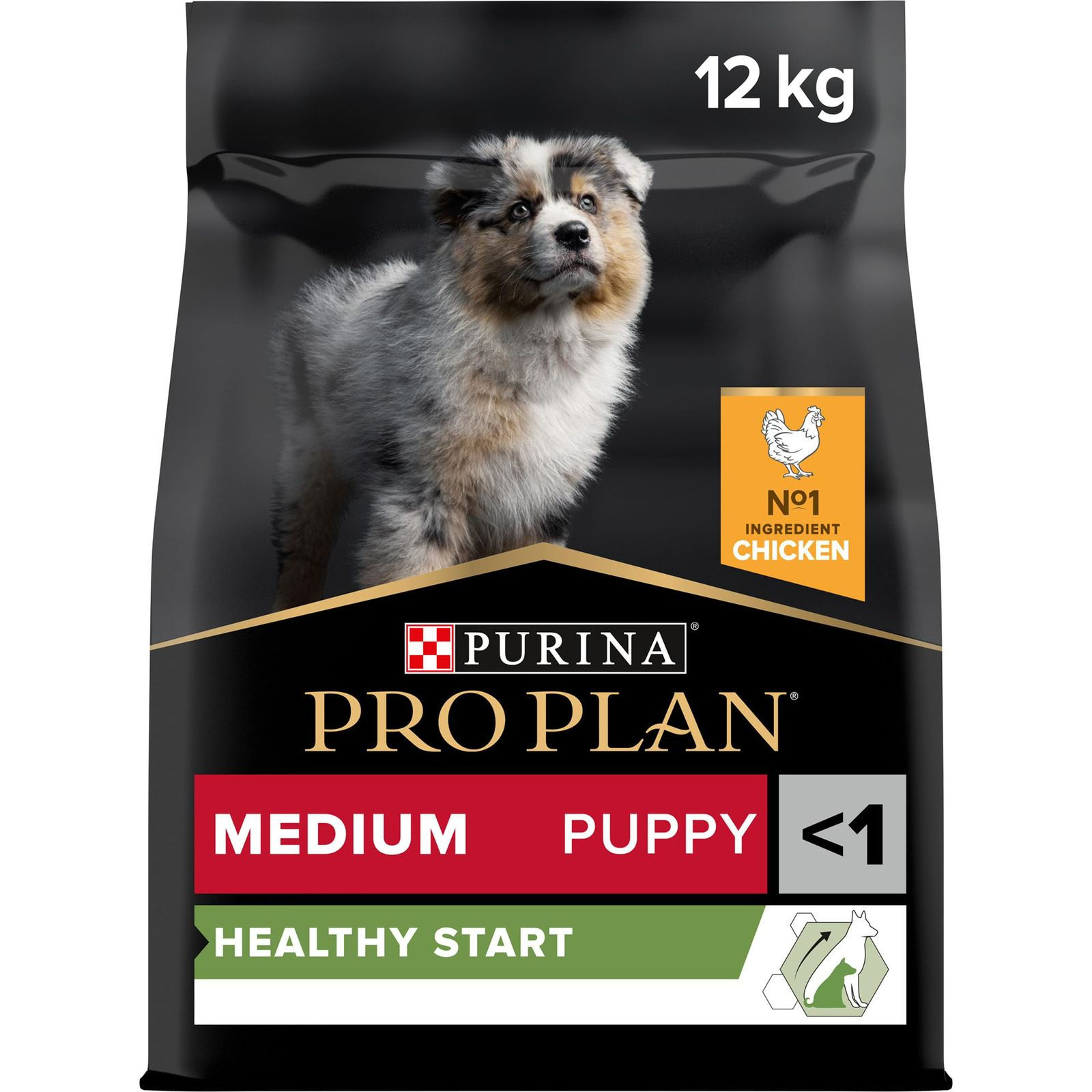 pro plan for dog 