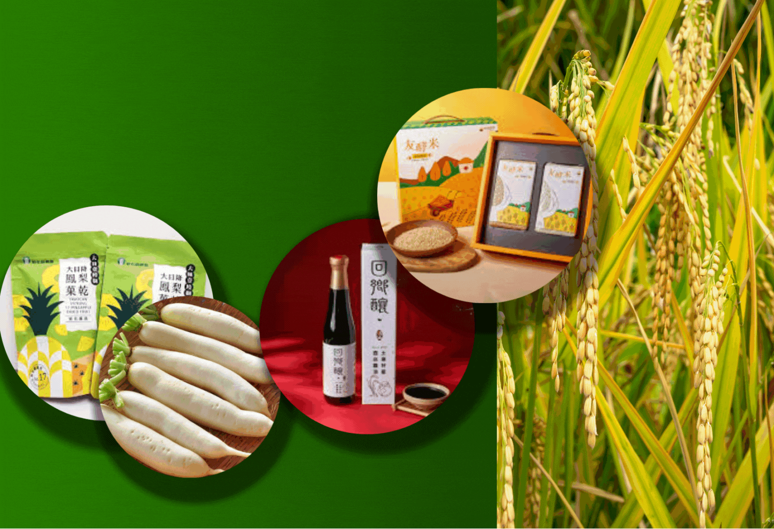 未命名設計 (3).gif