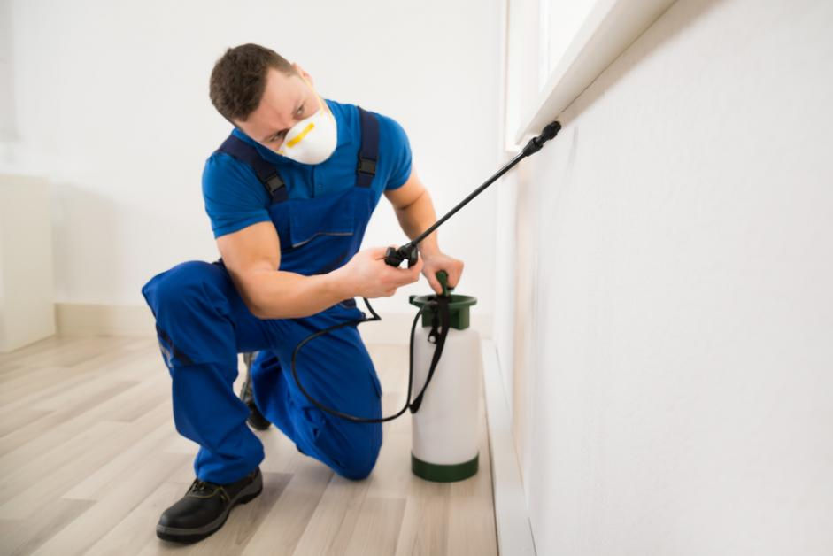 Safeguarding Your Space: The Significance of Regular Pest Control Inspections and Services