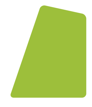 Career Plan Presentation (3).png