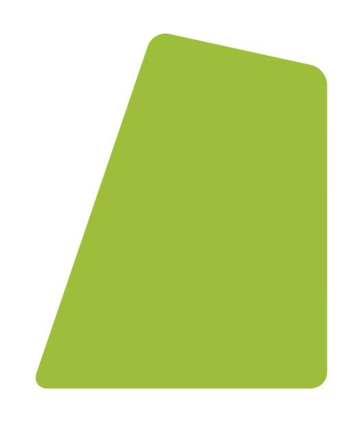 Career Plan Presentation (3).png