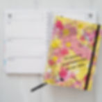 Ilustraciones agendas 2019