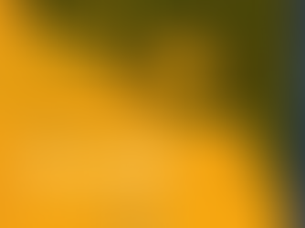 GIANMARCO PARODI A MONACO PER PRESENTARE IL SUO LIBRO "NON TUTTI GLI ALBERI" (VIDEO)