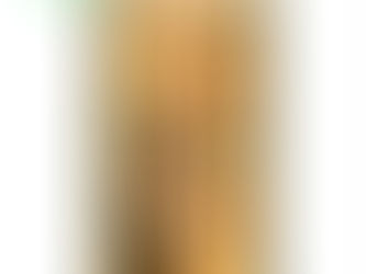 Venenos de Dios, remedios del Diablo (2008) de Mia Couto