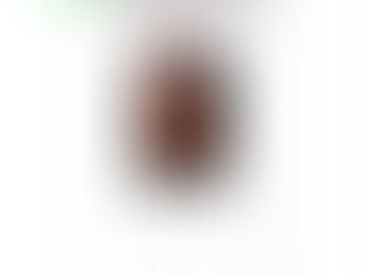 La cena (2009) de Herman Koch