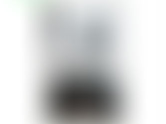 Carpe diem (1956) de Saul Bellow