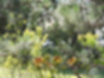 DSCN9788.JPG