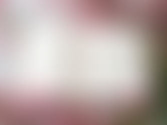 ¡Cuán afortunada fui de que muchas cosas no funcionaran!