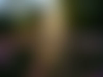 La soledad no es vacío: es donde ocurre tu trabajo interior