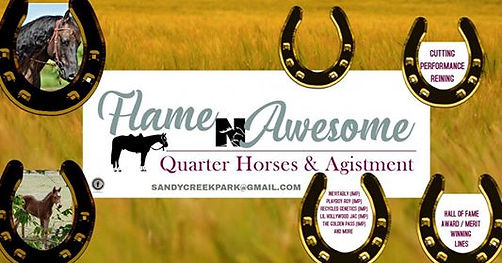 Fame N Awesome Quarter Horses.jpg