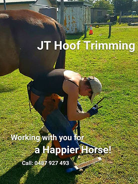 JT Hoof Trimming.jpg