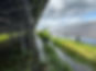 Afbeelding van WhatsApp op 2025-08-05 om 13.08.12_e24ae453.jpg