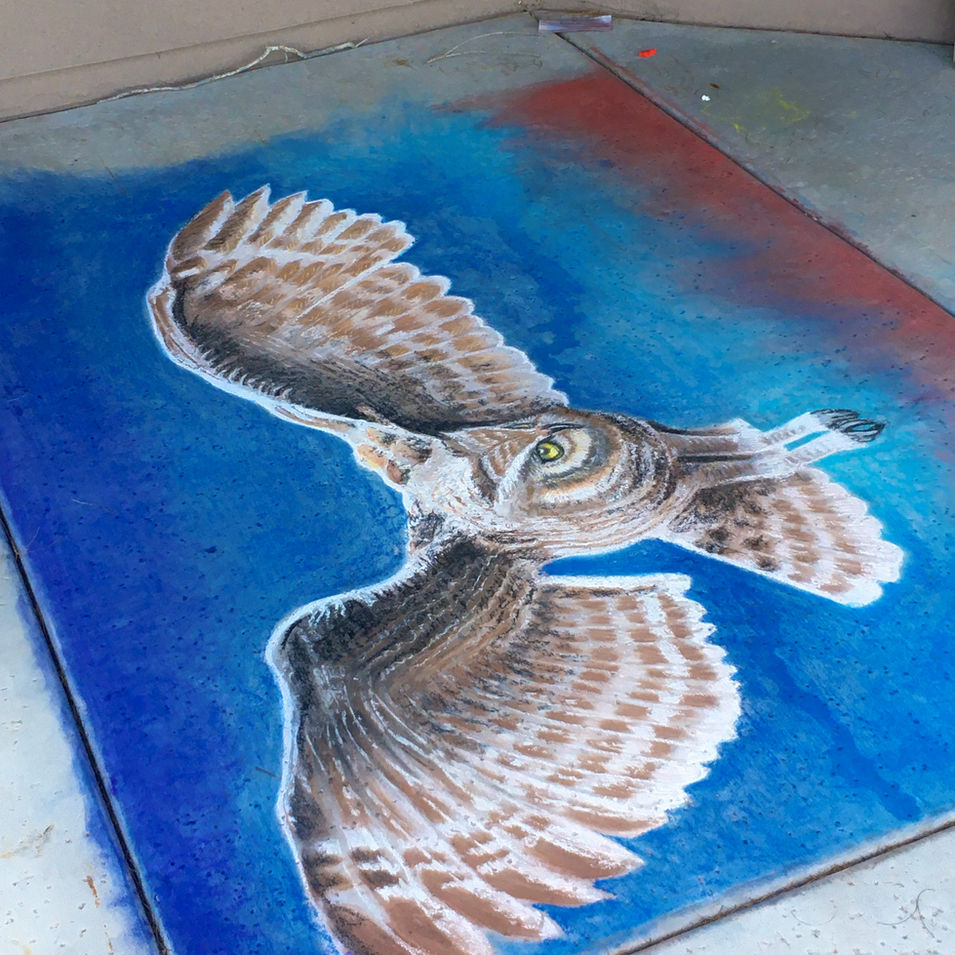 Owl Chalk.jpg