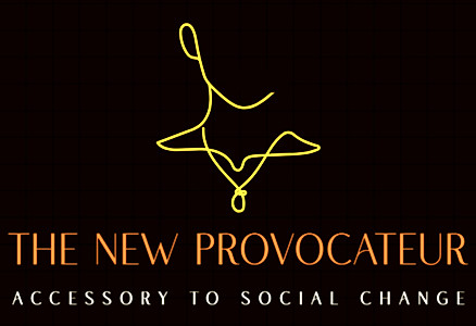 Logo for The New Provocateur