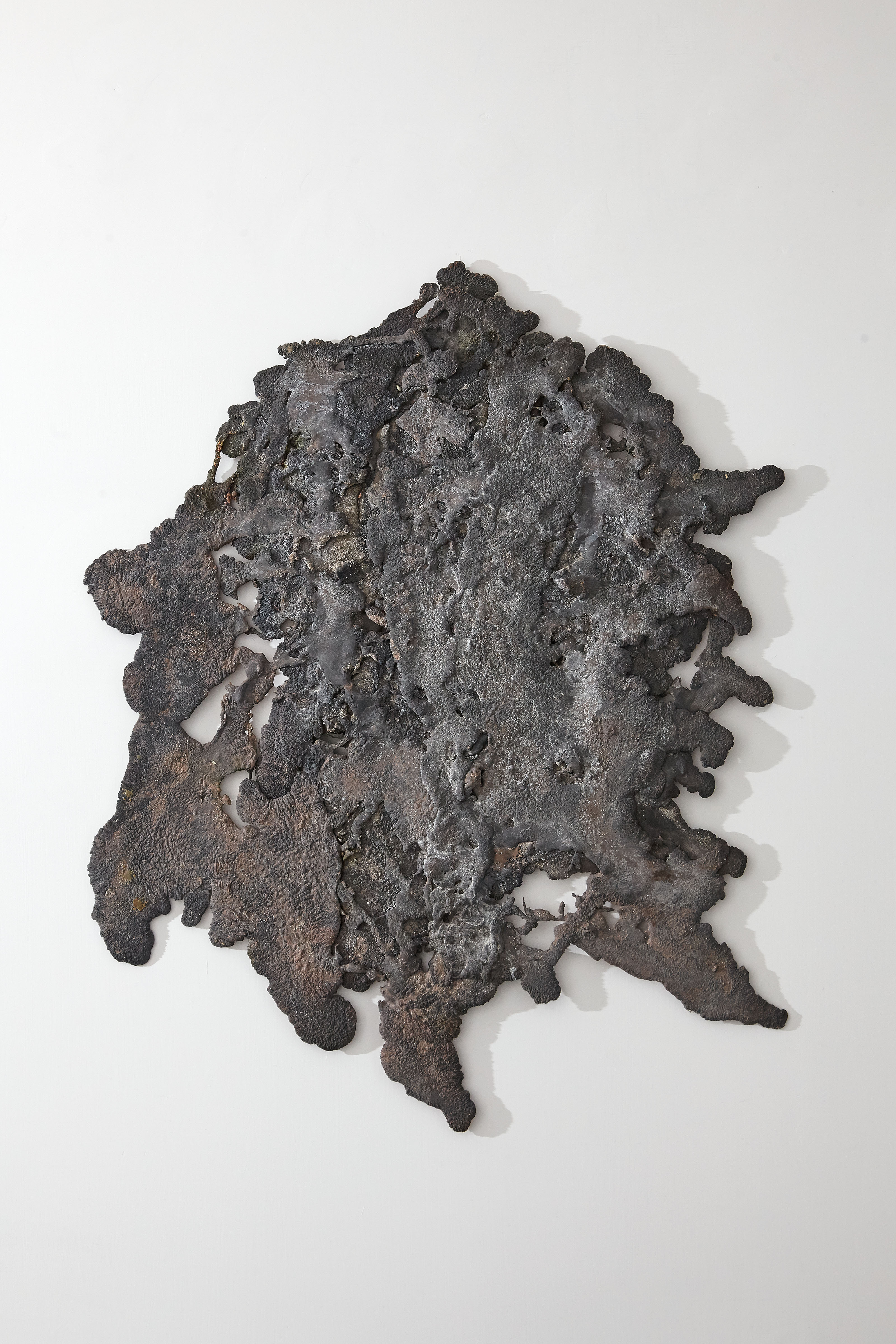 Autarchia del materiale, 2016