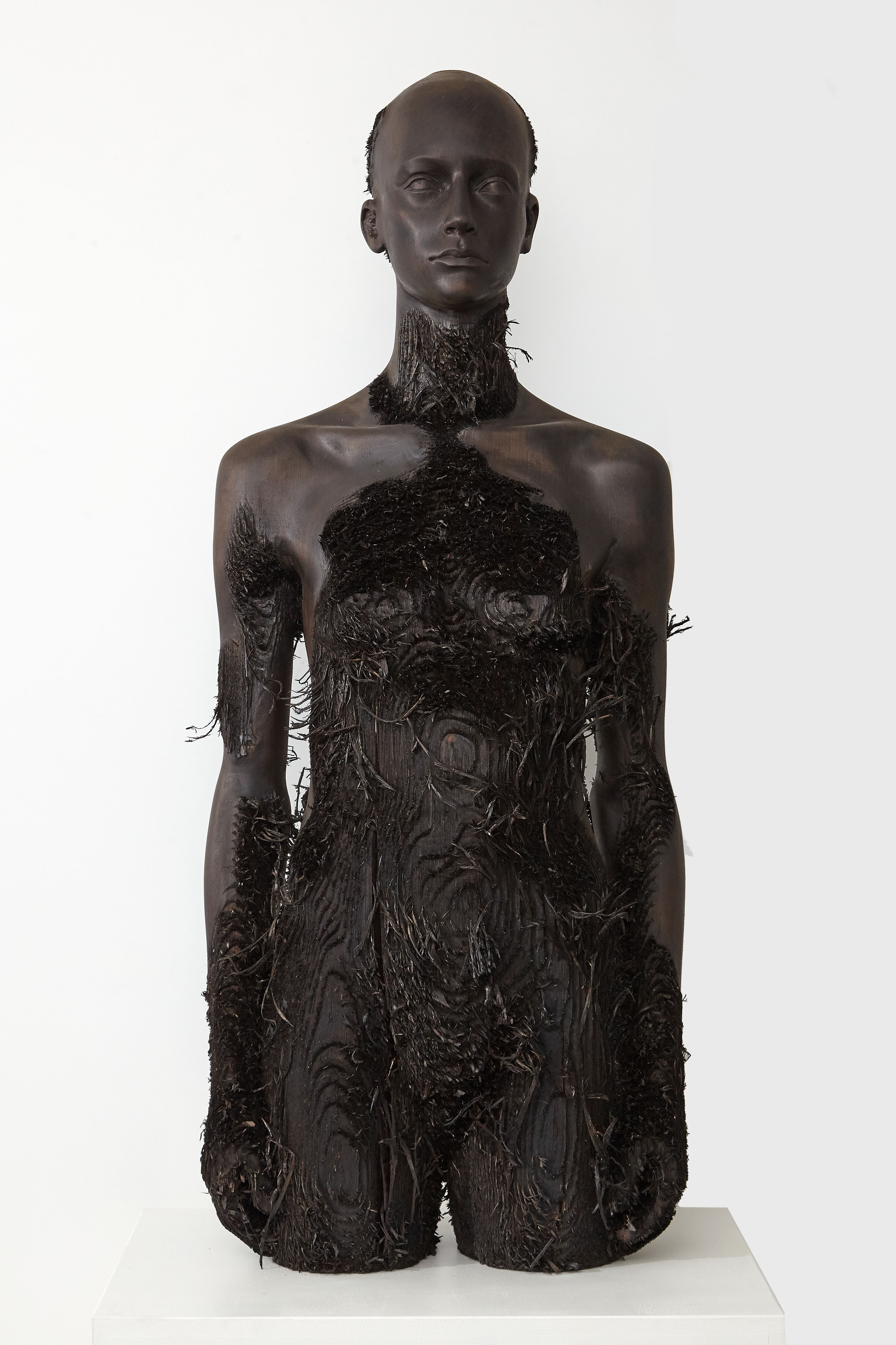 Germinazione, 2018