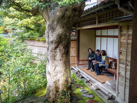 View of Ishikawa's satoumi from a local train window