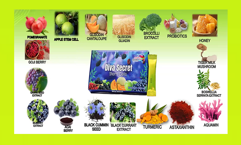 Active Ingredients of Diva Secret Stem Cell Product