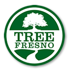 Tree Fresno