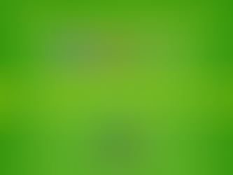 Стартував Всеукраїнський молодіжний конкурс "Літературна візитка краю"