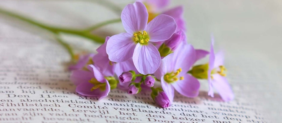 12 найбільш весняних книг