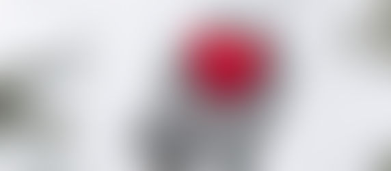 Гороскоп на тиждень з 2 по 8 грудня 2019 року