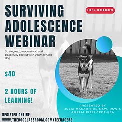 live webinar instagram post (1).png