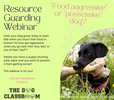 Resource Guarding Webinar(2).png