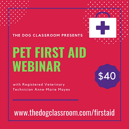 Pet First Aid 2020(2).png