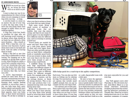 Top 10 Must-Haves for Travelling with Dogs