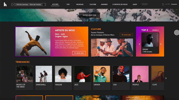 ecrans hit lokal (1).gif